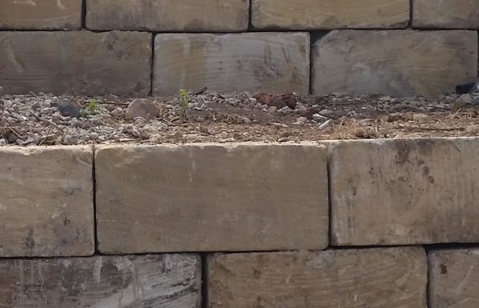 gold coast A grade sandstone walls